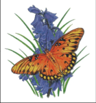 (image for) Brilliant Eye Jewel Butterfly